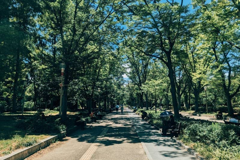 Freelance Programme Manager image