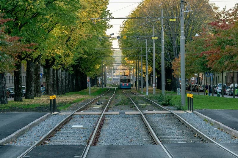 train rail near trees during daytime