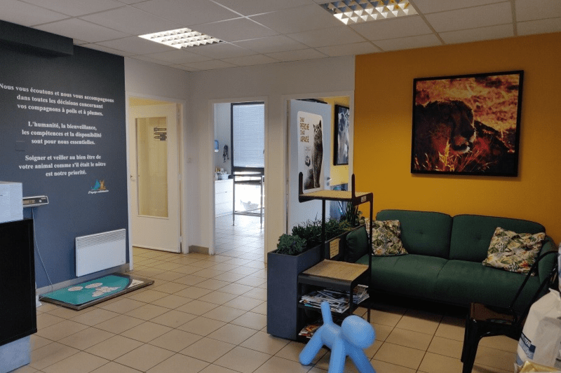 SAINT MALO - CAPSUDVET - VETERINAIRE GÉNÉRALISTE - CDI (H/F) image