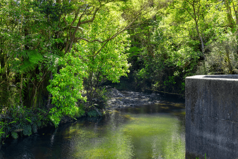 Environmental Planner image