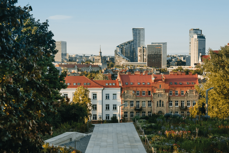 Rizikų valdymo vadovė (-as) image