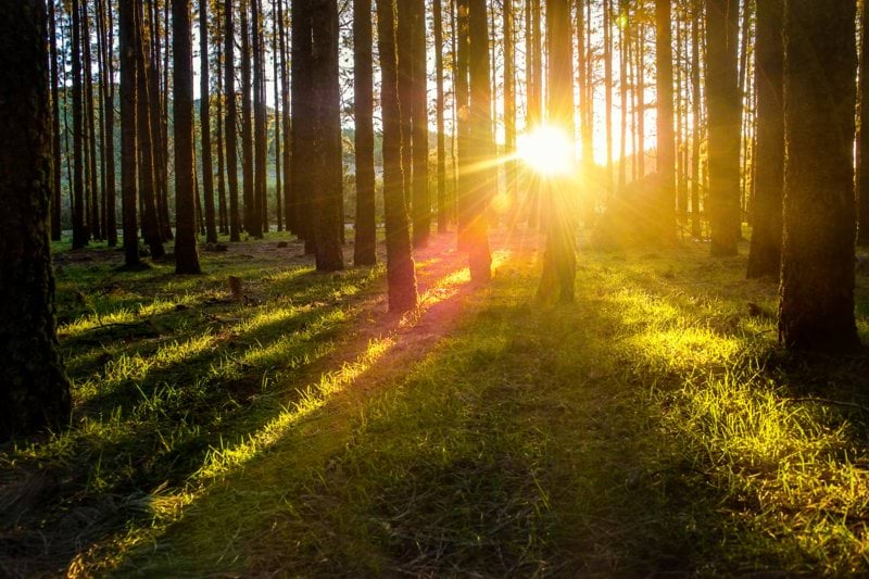 Produktionsplanerare i geoenergibranschen! 🌳 image