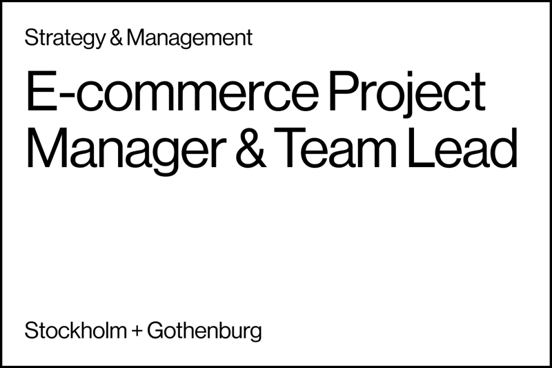 E-commerce Project Manager / Team Lead image