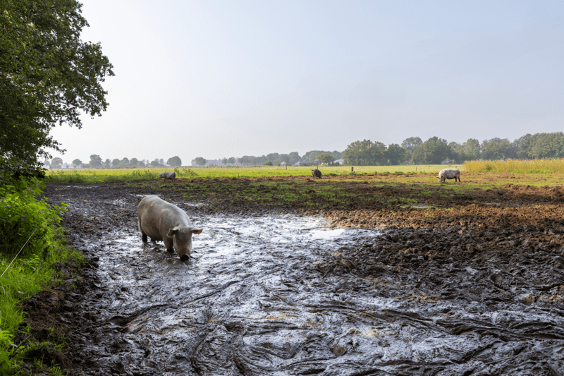 Specialist Maatregelen (32-40 uur) image