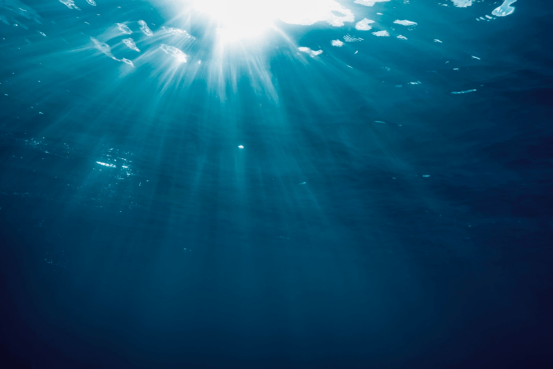 Er du en leder med ambisjoner for økt produksjon og forbedret fiskehelse? image