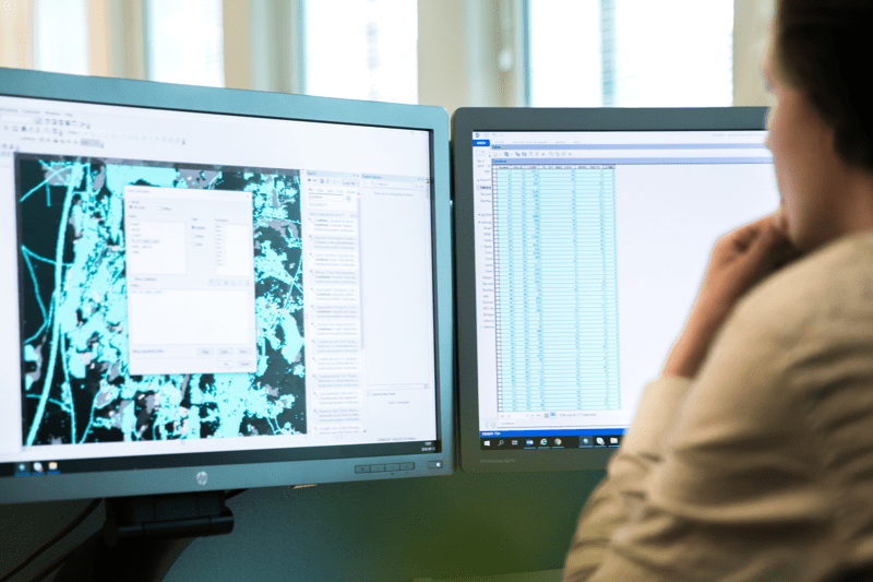 Analytiker och projektledare med kunskap inom GIS och fjärranalys – Stockholm image