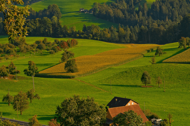 Software Engineer image