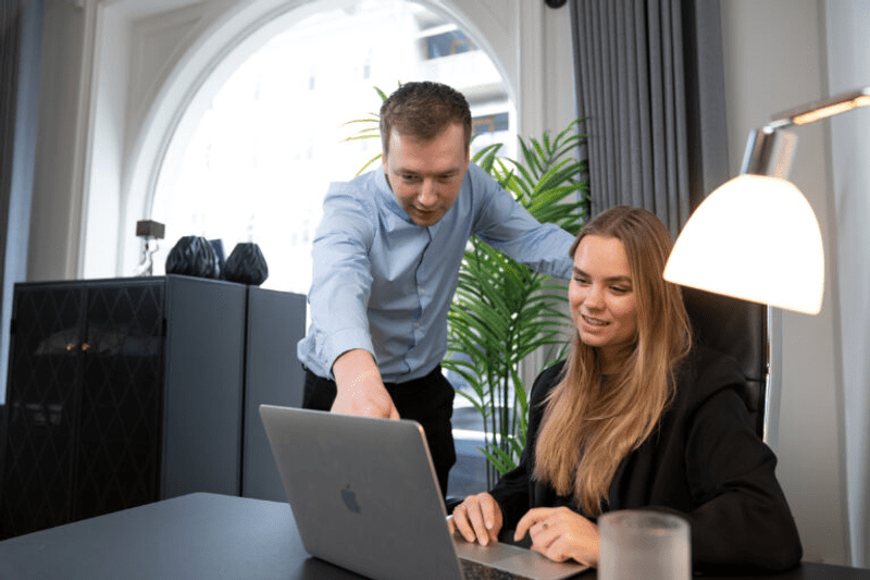 Revisor til Dansk Revision i Næstved image