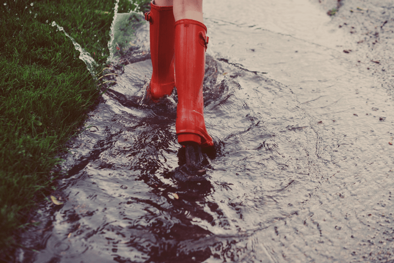 Gruppchef till Ekologi och ytvatten Göteborg image