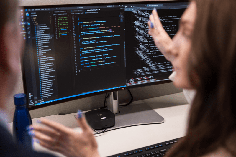 Software Engineer or Architect (C#/C++/Rust) image