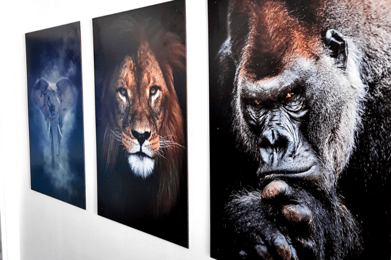 Assistant Administration des Ventes (H/F) image