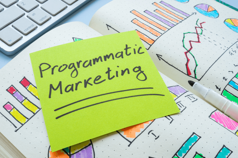 BecasGrowOMG – Programática/Performance image