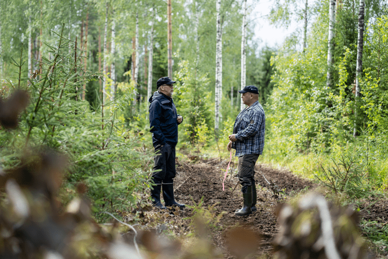 Mhy Kainuu: Kaksi metsäasiantuntijaa image