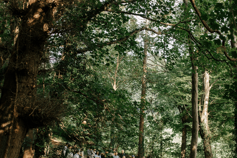 Product Director image