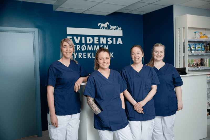 Evidensia Strømmen Dyreklinikk søker dyrepleier image