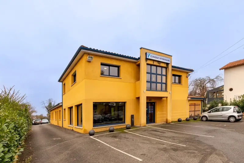 IBOS - LA CROIX DES PYRENEES - VETERINAIRE CANIN - CDI H/F image