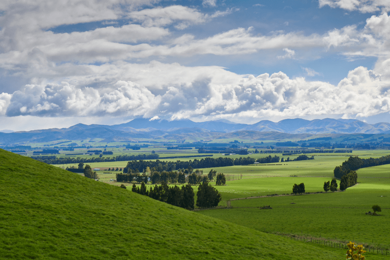 Sales & Engagement Specialist – Livestock Tech (Queensland) image