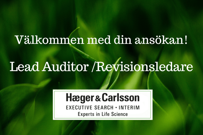 Kommande uppdrag: Lead Auditor/Revisionsledare image
