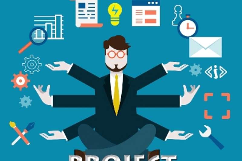 DIGITAL HR PROJECT MANAGER image