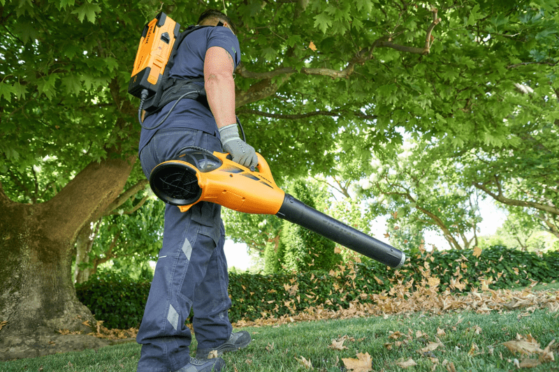 Försäljningschef Sverige image