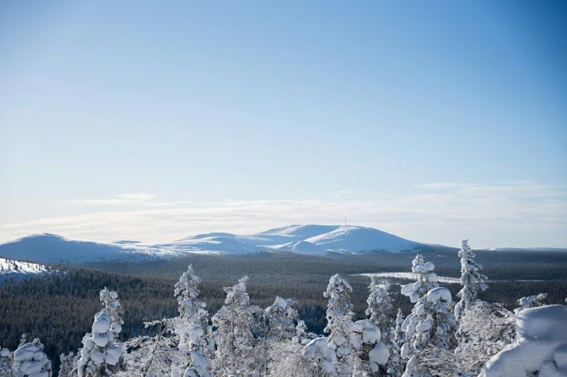 Kokkeja Lapin talvisesonkiin image