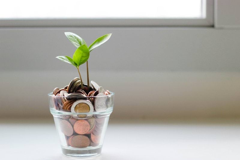 Management Accountant image