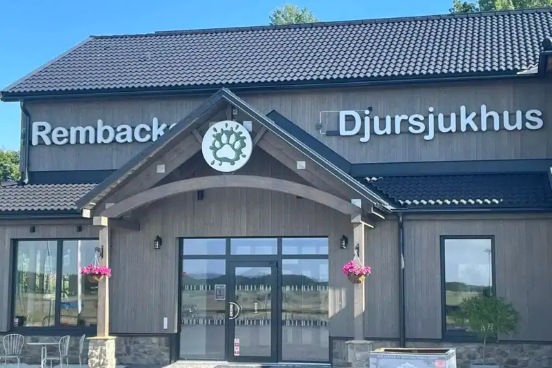 Natt-team sökes – Rembackens Djursjukhus image