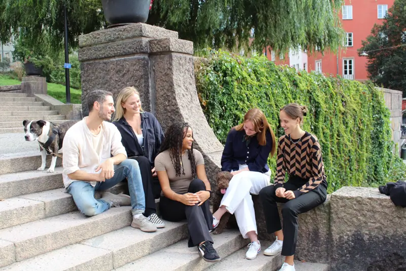 Utlysning för Sustainergies styrelse och valberedning image