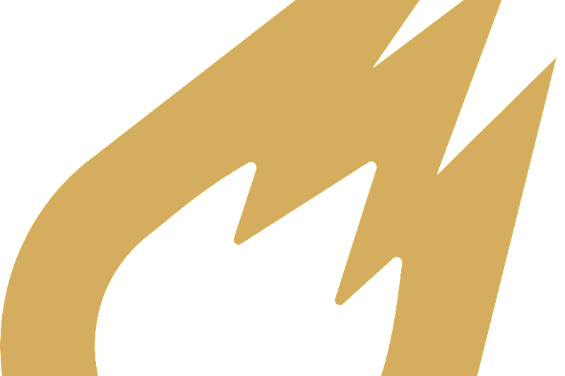 COMMIS DE CUISINE F/H image