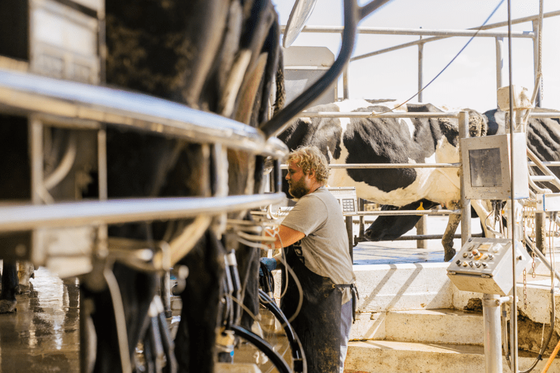 Mobile Device and Field Support Team Leader image