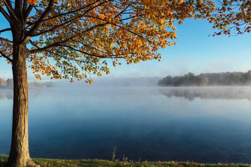 Timvikarie till skyddat boende image