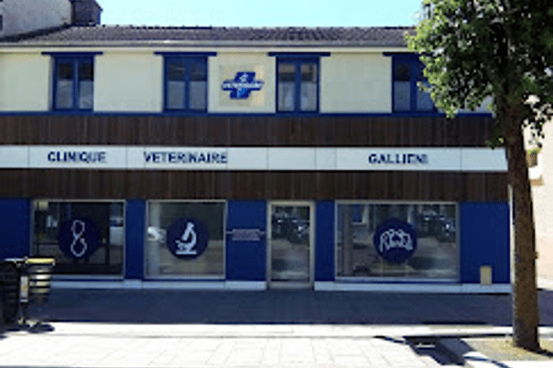 AUBE - TROYES - CLINIQUE VETERINAIRE GALLIENI - CDI - VETERINAIRE GENERALISTE image