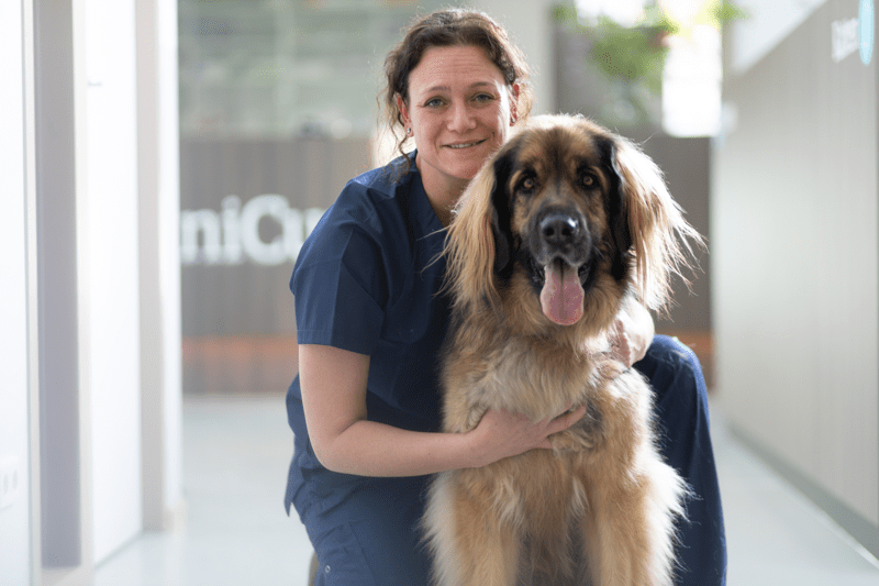 Veterinary Radiology Position at Specialist Referral Clinic in The Netherlands image