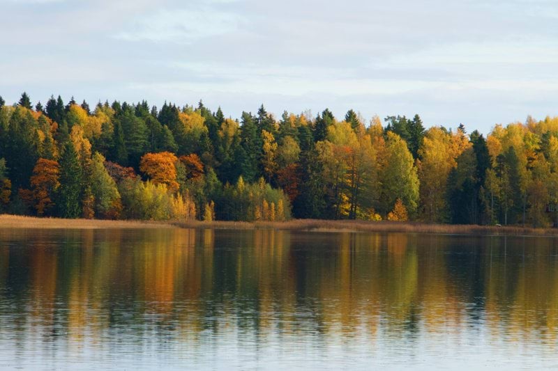 Lähihoitaja - Loviisan asumispalvelut image