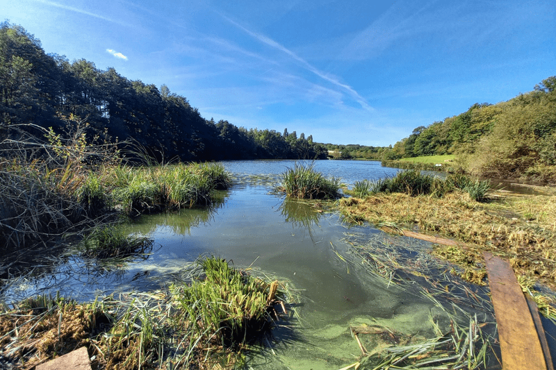 Ouvrier Génie Ecologique / Environnement -  H/F image