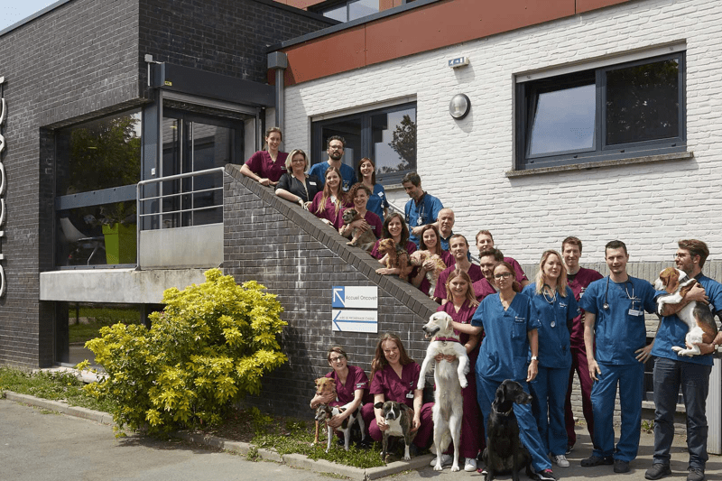 LILLE - ONCOVET - AUXILIAIRE SPECIALISE.E VETERINAIRE - CDD image