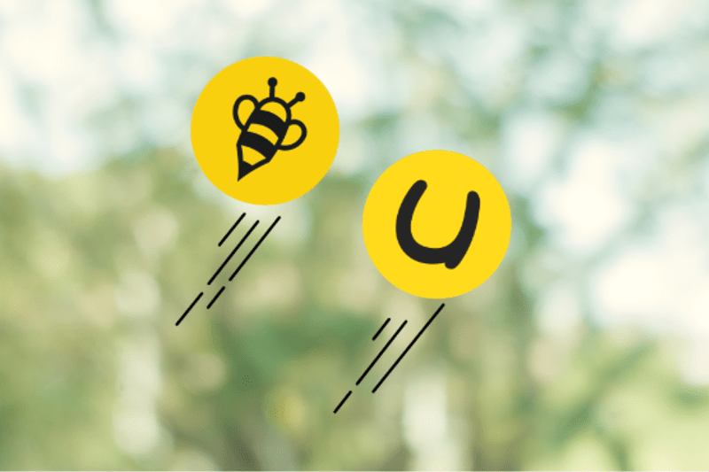 Customer Success Manager för Unikum och StudyBee image