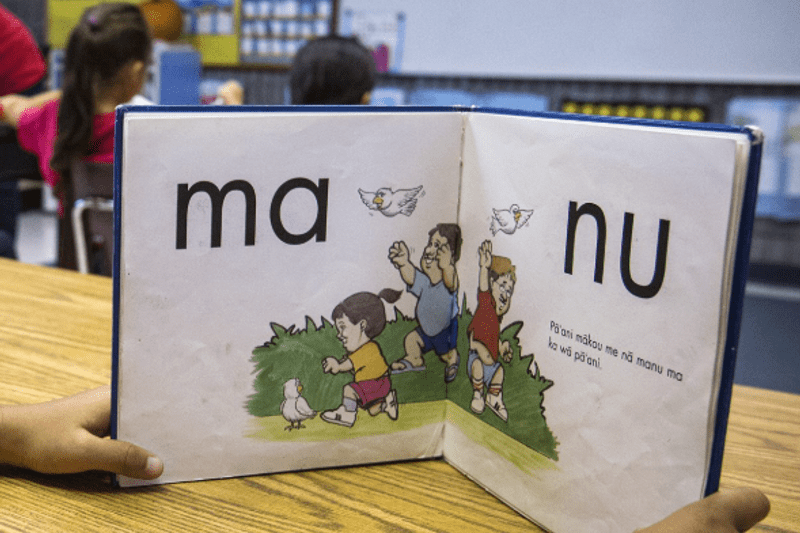 Hawaiian Speaking After School Leader image