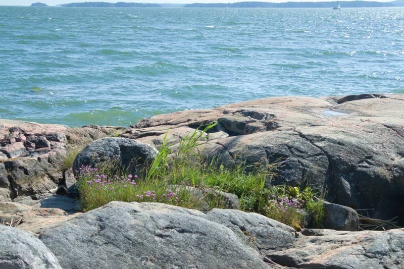 Sairaanhoitaja - Helsinki image