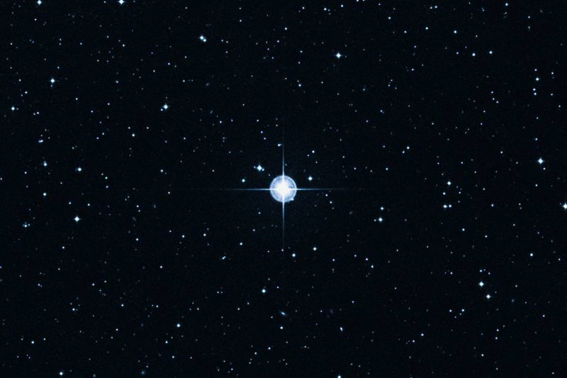 Är du Majolas nästa stjärna inom service? image