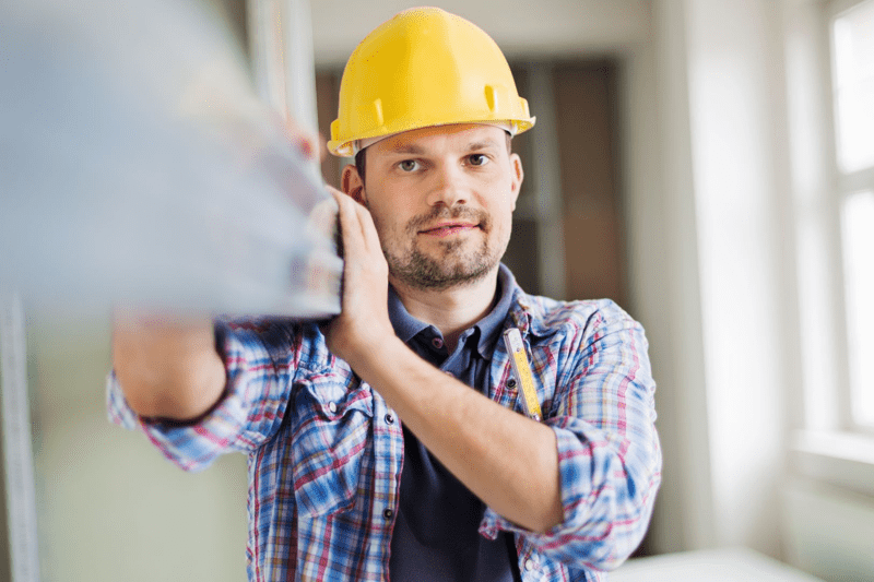 Üldehitaja Männikul image