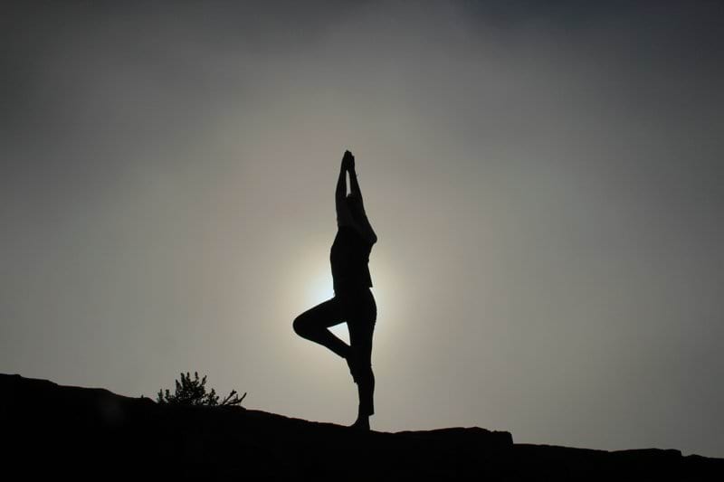 Maître Yogi / Maîtresse Yogin image
