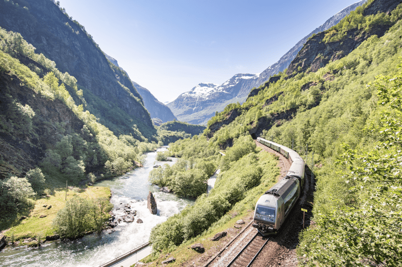 Vil du være lærling i FLÅM? image