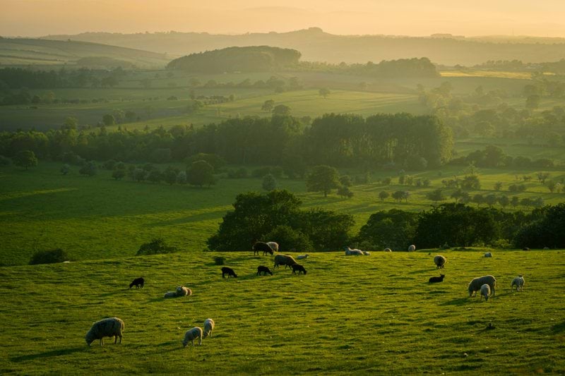 Head Chef | Community Tea Rooms | Ampleforth | £32-34k image