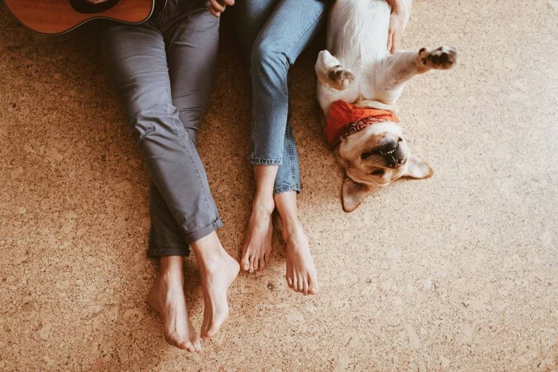 Product Sales Specialist - Pet Health - Remote image