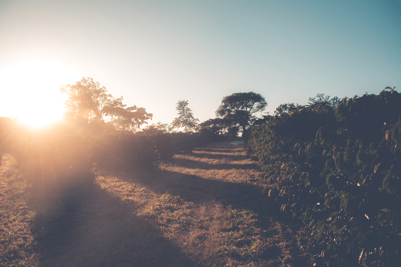 Kaffecoach Kristianstad image