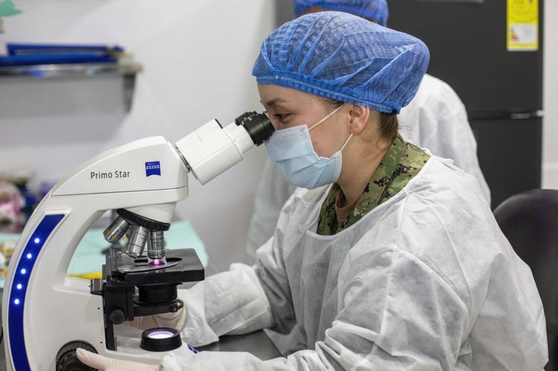 Szövettani asszisztens image