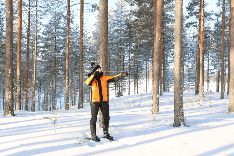 Mhy Etelä-Savo: Metsävara-asiantuntijat (Mikkeli ja Savonlinna) image