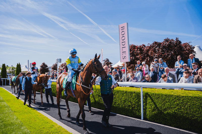 Race Day Premium Hospitality Host image