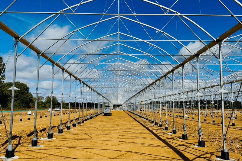 Directeur / Directrice travaux image